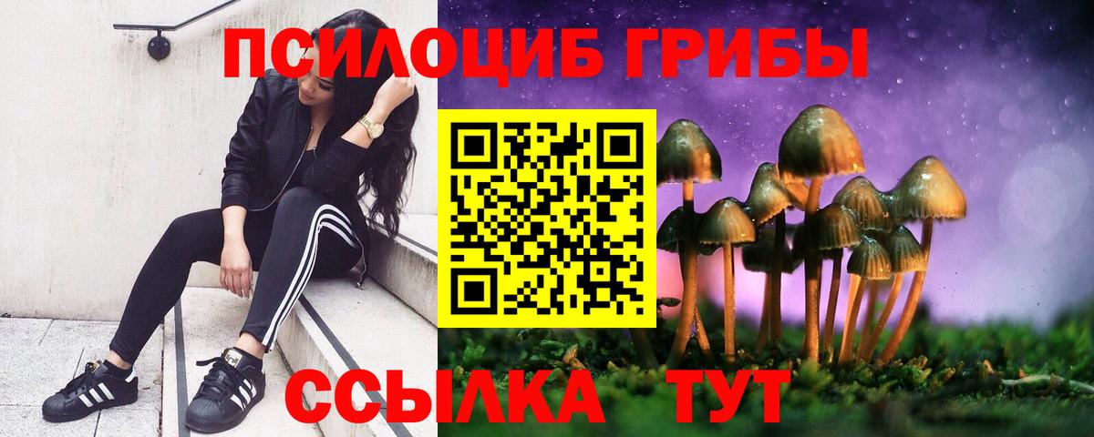 Псилоцибиновые грибы мухоморы  Галлюциногенные грибы мицелий  Вход с VPN  Михайловка 